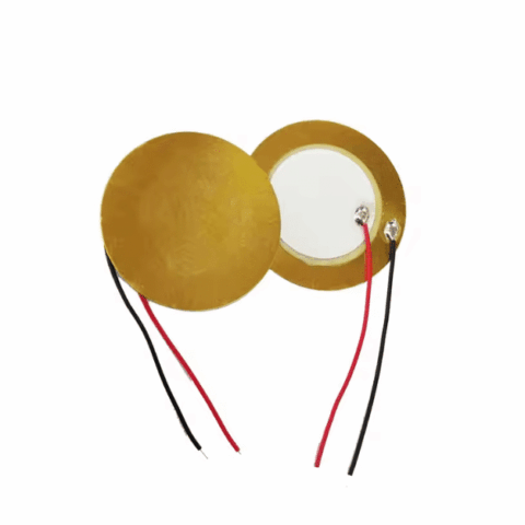 40mm Piezoelectric Element Buzzer with Cable